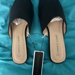 Charles Albert  slides Photo 0