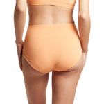 Hanky Panky NWT French Swim Brief Photo 3