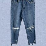 BLANK NYC  The Straight Up Distressed Knee and Ankles Jeans Size 27 Photo 0