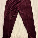 Champion Elite Velour Joggers Photo 2