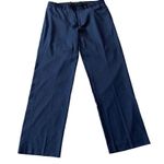 Theory Wool Blend Pin Stripe Slacks Dress Pants Grey/Brown size 12 Photo 1