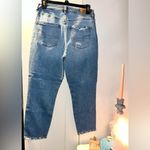 American Eagle  Ripped X-short Mom Jean Photo 3