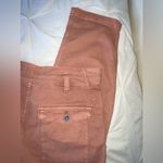 Anthropologie  “The Wanderer” Straight Leg Cargo Style Pants Dusty Pink SIZE 31 Photo 6