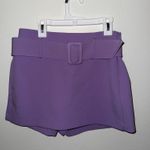 ZARA  Skirt Mini purple  Photo 0
