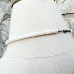 Vintage Natural Hawaiian Puka Shell Choker Necklace White Photo 2