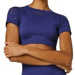 Ivy Park Blue Athletic Crop T Shirt Top Women’s Small/Medium Photo 0