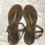 Frye Carson T-Strap Sandal Dark Brown Ladies 9M Photo 4