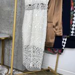 EXPRESS Rare Ivory Crocheted Lace Midi Dress Photo 4