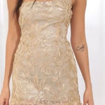 Lucy in the Sky Beige Floral Sequin Dress Photo 0