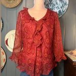 Vintage 90’s Paisley & Sequin/Beadwork Ice Brand Silk Blouse Large Red Photo 0