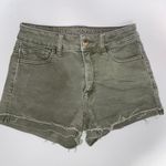 American Eagle Shorts Photo 0