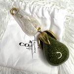 Coach NWT Pear Bag Charm Key Fob Photo 0