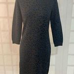 Ann Taylor Loft Womens Gray Blue Cheetah Print Knit Sweater Dress Small Photo 0