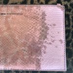 Aimee Kestenberg  Mauve Snake Wristlet Photo 3