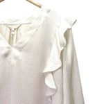 Rebecca Taylor NWT  100% Silk Ruffle Blouse Size 8 Long Sleeve Antique Cream $295 Photo 7