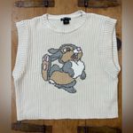ZARA Cream Knit Sweater with Disney Design Thumber knit top size large Photo 1