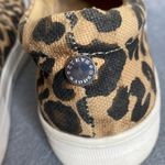 Steve Madden Women's Gills Fashion Sneaker Leopard Size 8.5 Photo 4