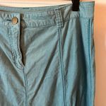 Soft Surroundings  Sea Green A-Line Skirt Photo 1