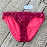 Loft  Beach Laser Cut Bikini Bottoms XS NWT Photo 1