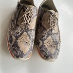 Cole Haan  ZERØGRAND Wing Ox Closed Hole Ii Python Printed Leather Shoes‎ … Photo 2