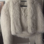 Target Fur Coat Photo 0
