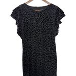 Tommy Hilfiger NWOT  Dress 12‎ Velvet Burnout Animal Print Leopard Flutter Sleeve Photo 2