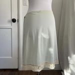 Vintage Fairy Grunge Mint Green Midi Half Slip Skirt with Lace Brown Bow Dainty Size undefined Photo 8