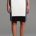Narciso Rodriguez for Design Nation Back Zip Colorblock Lined Skirt Size 10 Photo 0
