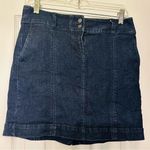 Loft Ann Taylor skirt Photo 0