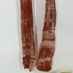 Acne Studios Printed Tights Brown Women's Size XS NWT Photo 8