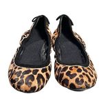 New Maria Sharapova Cole Haan Nike Air Collab Leopard Print Flats Women size 8 Black Photo 4