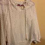Nanette Lepore  medium sheer blouse Photo 3