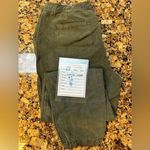 Marine layer Womens  Olive Green Elastic Waist Tapered Joggers Pants‎ Sz L NWT Photo 3