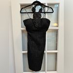 Boston Proper Muse For  Limited Edition Whimsigoth Black Cocktail Dress Size 2 Photo 11