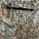 H&M ‎ Floral Blouse Long Sleeve Ruffle Neckline Sheer Top Medium Photo 5