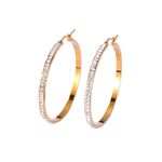 Fashion Hoop Gold plated Earrings Photo 2