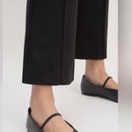 Everlane NWOT The Dream Kick Flare Pant Photo 1