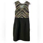 The Limited  Zebra Patterned Mini Dress Photo 2