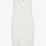 Ted Baker NWT Tilolah in White Seam Detail Bodycon Pencil Sheath Dress 3 / M Photo 0