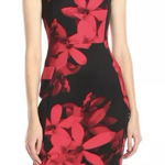 Calvin Klein Black Red Floral Scuba Knit Sleeveless Sheath Dress Size 6 Photo 0