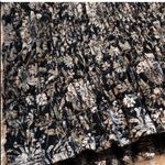 DKNY 🆕  floral v neck short sleeve blouse t… Photo 5