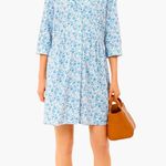 Tuckernuck Classic Blue Ditsy Royal Shirt Dress Photo 0
