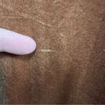 Madewell  Velvet Gold/Tan Balloon Sleeve Sheath Dress size medium Photo 5