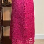 Dorothy Perkins Hot Pink Lace Straight Pencil Skirt Photo 3