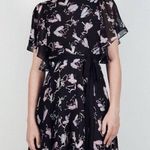 ZARA ✨ STUDIO BALLET PRINT RUFFLE SZ XS/S DRESS✨ Photo 0
