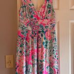 Lilly Pulitzer  Dress Photo 0