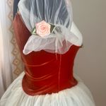 Small Tulle Costume Dress Photo 6