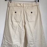 Everlane NEW The Pleated Wide-Leg Chino in Bone White Belted Photo 5