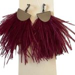 EXPRESS Feather and Rhinestone Dangle Earrings New with Tags Photo 0