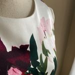 Vince Camuto Luxurious Gorgeous soft structured fit and flare roses dress size 6 Photo 3